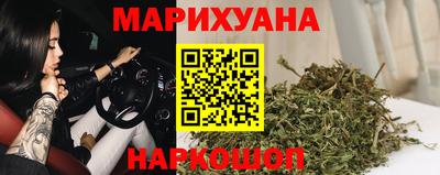 мдпв Гатчина