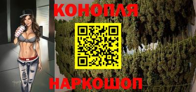 мдпв Гатчина