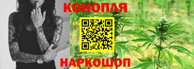мдпв Гатчина