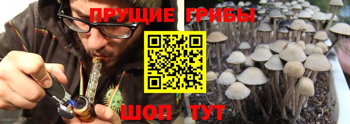 Гуково  Псилоцибиновые грибы GOLDEN TEACHER  сколько стоит  Вход с VPN 